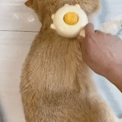 Portable Pet Hair Cleaner Brush